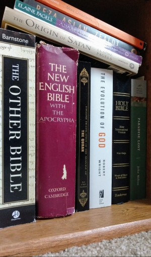 a bookshelf with Bibles and other Christianity-related texts